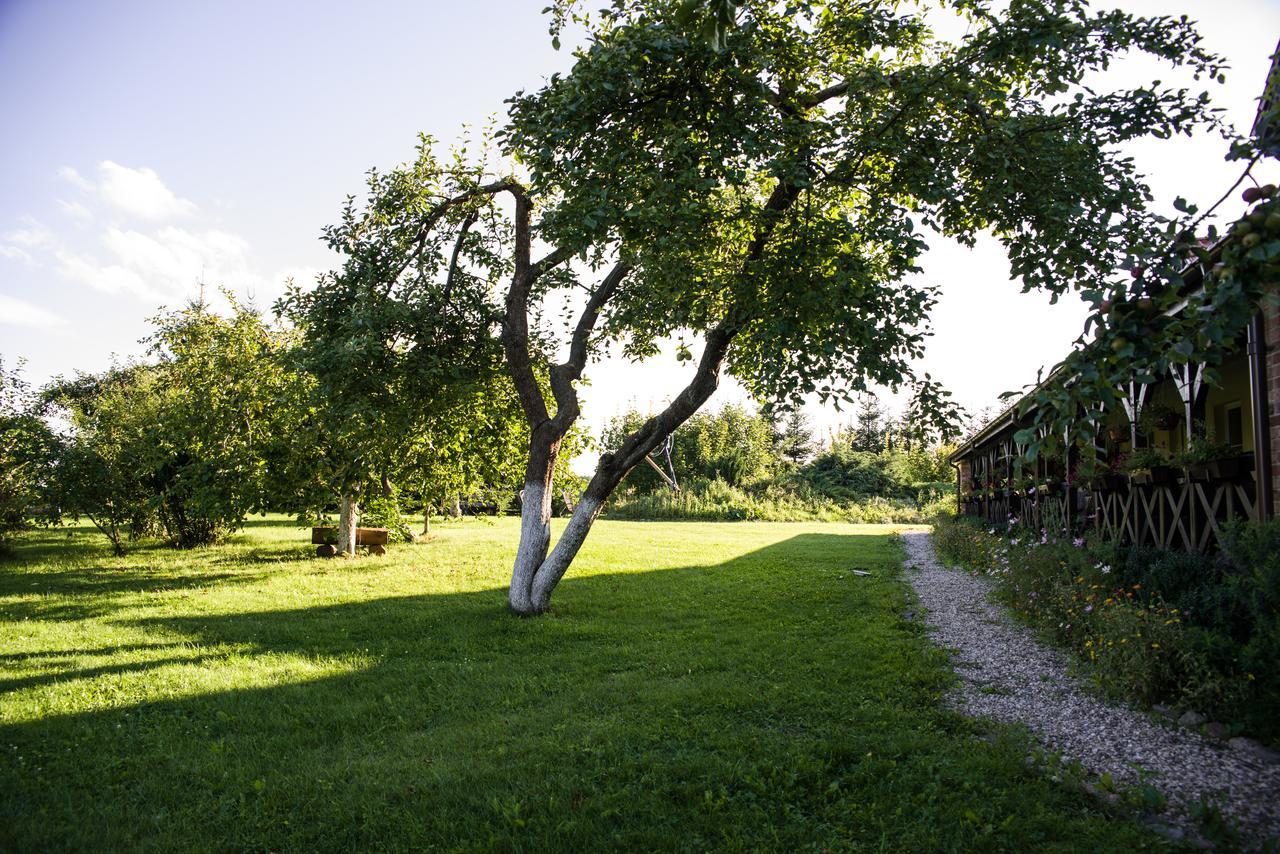 Villa Siedlisko Sabinowo Węgorzewo Exterior foto